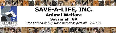 One love animal rescue helps abandoned, neglected, abused and unwanted pets by partnering with shelters, rescue groups and the community to facilitate one love animal rescue, inc. Small Dogs For Adoption In Savannah Ga
