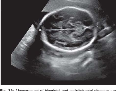 Figure 3 From What Should Medical Students Know And Understand About