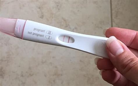 com test pregnant