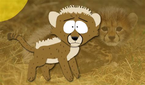 South Park Cheetah Cub By Kelseyedward On Deviantart