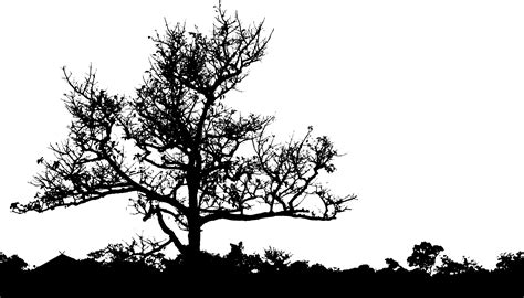 Tree Line Silhouette Svg Free 112 File Include Svg Png Eps Dxf