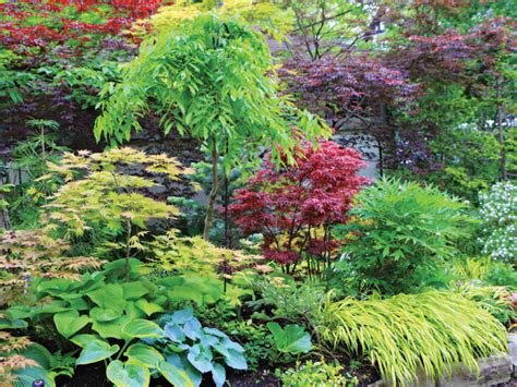 How To Design A Colorful Shade Garden Finegardening