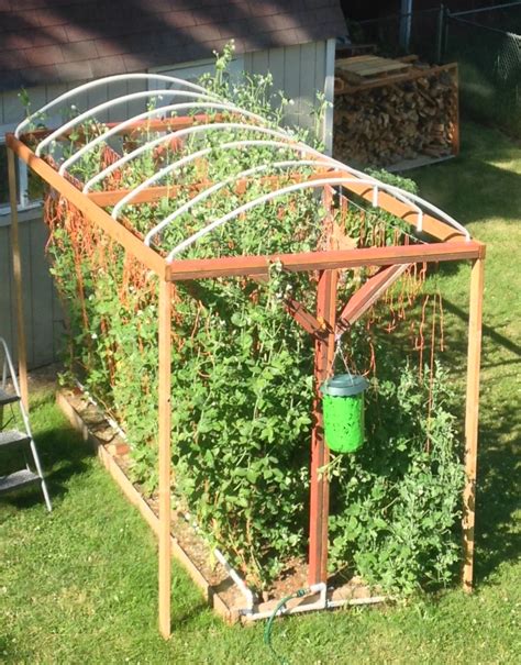 How To Build A Trellis System For Vertical Growing Moms Simple Life