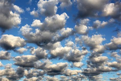 Cumulus Fluffy Clouds In The Blue Sky Harbingers Of Rain Sky Pattern