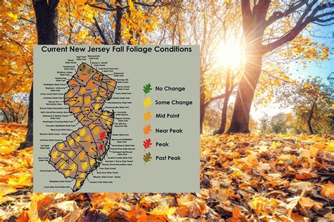 Nj Fall Foliage Update Peak Leaf Peeping Season Still Ahead Despite