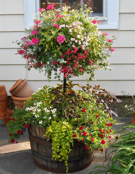 We did not find results for: Sample Album 4 » Side Planting | Wine barrel planter ...