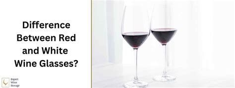 Red Vs White Wine Glasses Differences Types Of Glasses Expert Wine Storage
