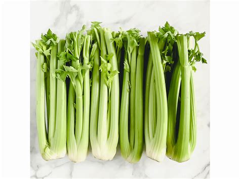 celery juice recipes recipe juicing medical drink healthy fruit smoothie juicer smoothies benefits juices machine beginners protocol health thehealthyfamilyandhome press