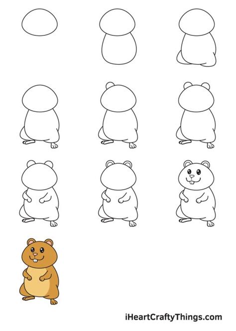 Hamster Drawing How To Draw A Hamster Step By Step
