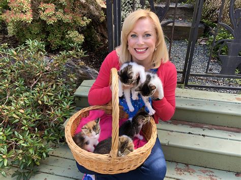 Pet Chek Cute Kitten Overload With Tess Foster Kittens