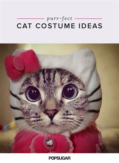 Funny Cat Costumes Popsugar Tech Photo 21