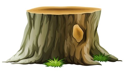 Tree Stump Clip Art | Фото дерево, Ботанические рисунки, Декор детского png image