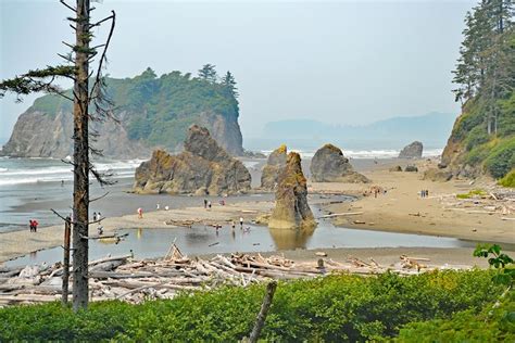 15 Best Beaches In Washington State Planetware