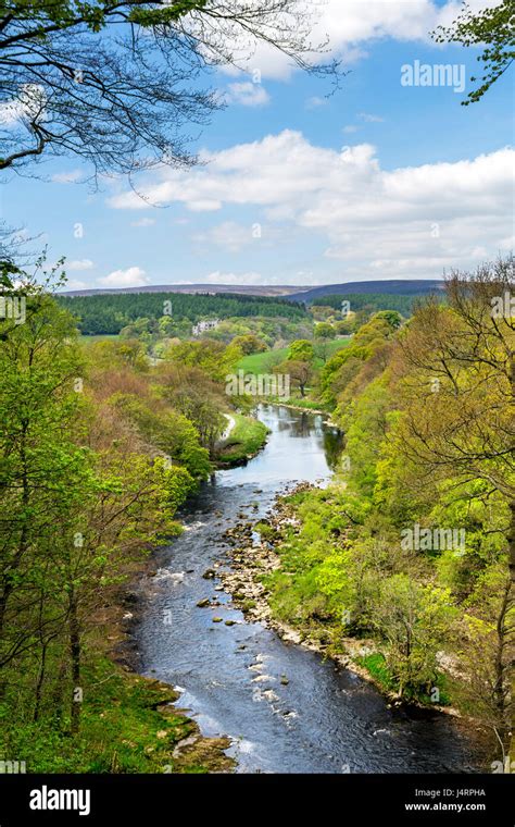 Barden Tower And River Wharfe From Strid Wood Near Bolton Abbey