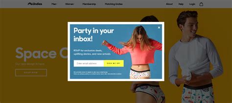 15 Gorgeous Pop Up Design Examples You Can Copy Today Wisepops Pop Up Design Pop Up Web