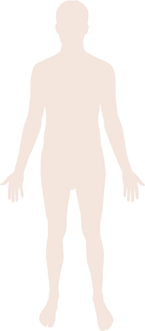 Human Body Outline Clipart Png Clip Art Library