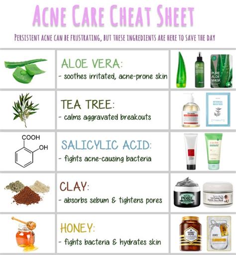 5 Power Ingredients For Acne Prone Skin Acne Prone Skin Skin Care