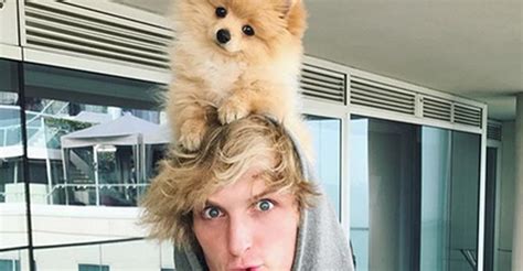 Logan Pauls Beloved Dog Kong Killed By A Coyote Celebrity Pets