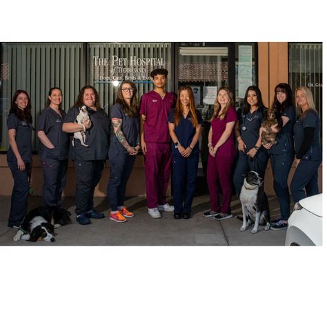 Veterinarian In San Diego, CA 92124 | PH Of Tierrasanta