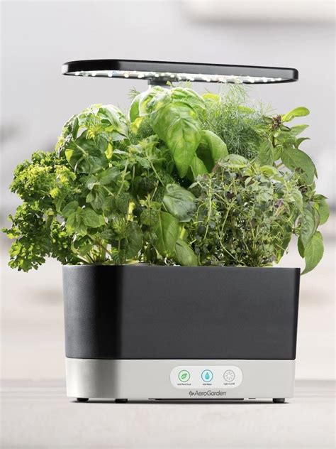 Best Indoor Herb Garden 8 Easy Ways To Get Started Bob