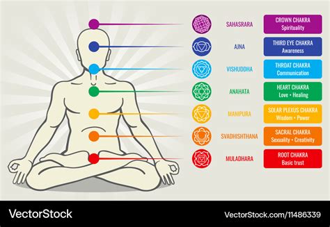 human energy chakra system ayurveda love asana vector image