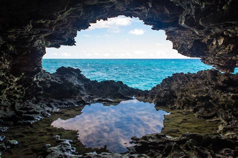 The Animal Flower Cave Barbados Uncommon Caribbean