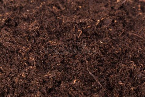 Patch Of Soil Or Mud Isolated On White Background Stock Image Image