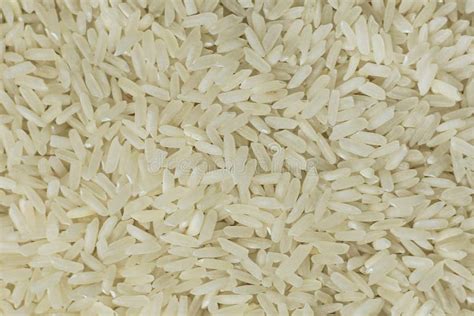 Rice Grains Close Up From Above Stock Photo Image Of Detail Grains