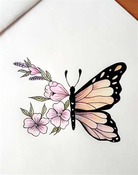 Pin By Erica Hoey On Zentangle Butterfly Sketch Butterfly Drawing