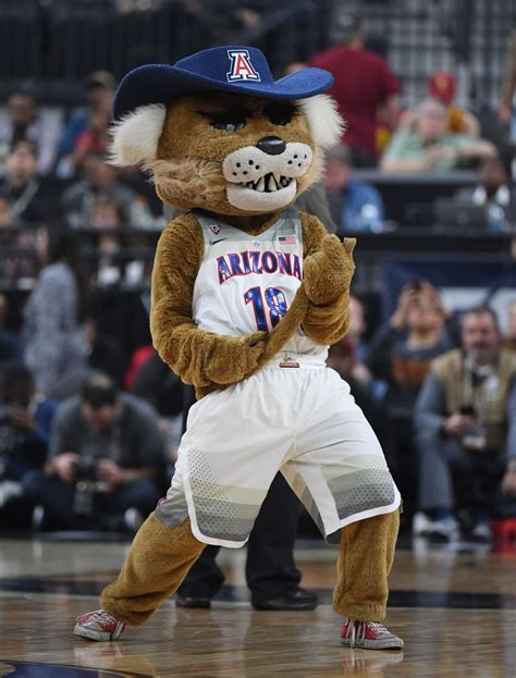 March Madness 2018 Mascots Ranked Worst To Best Which Ncaa Tournament