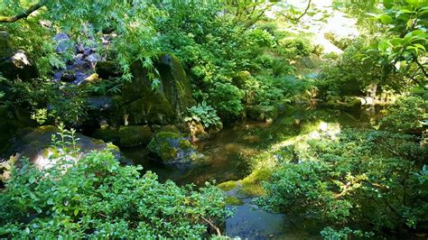 19 Beautiful Moments I Captured In The Portland Japanese Garden
