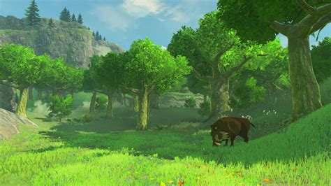Legend Of Zelda Breath Of The Wild Rumors Release Date