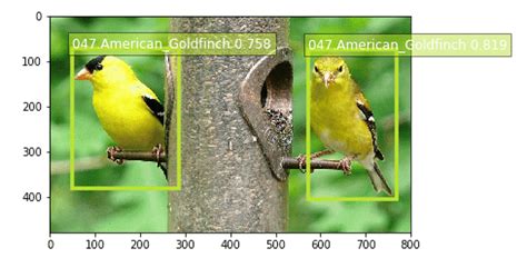 Identifying Bird Species On The Edge Using The Amazon Sagemaker Built