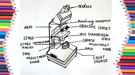 View How To Draw A Microscope Png Shiyuyem