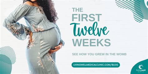 Pregnancy Blog Livingwell Medical Clinic Grass Valley California
