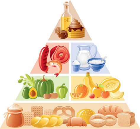 Piramide De Alimentos Nutricional Alimentacion Grupos De Alimentos My