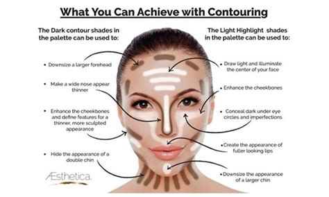 A double chin might not let you fare well in a photograph or could steal away the beauty of the rest of your face. Aesthetica Cosmetics Cream Contour and Highlighting Makeup ...