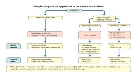 Child With Pallor And Jaundice Hemolytic Anemia