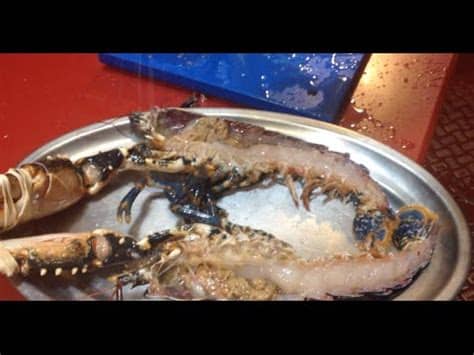 Haz disfrutar a todos tus amigos y familiares con estas recetas de bogavante especialmente diseñadas para volver. CÓMO COCINAR UN BOGAVANTE VIVO A LA PLANCHA - pilpileando ...