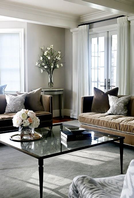 Brown Velvet Sofas With Gray Pillows Transitional Living Room