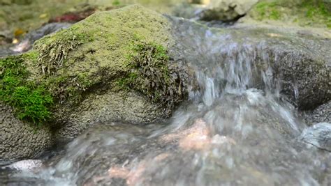 Stock Video Clip Of Mountain River And Stones Are Moss Grown Shutterstock