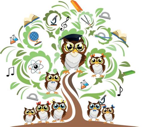 Wise Owl In A Tree Reading Illustrations Royalty Free Vector Graphics
