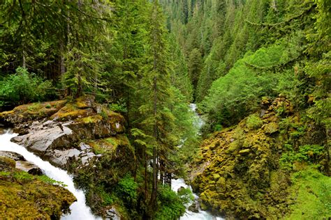 Wallpaper Waterfall Nature Moss Green River Valley Pine Trees