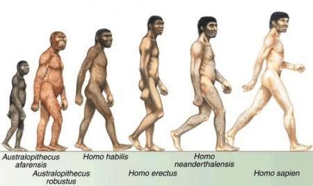 Origen Y Evoluci N Del Hombre Resumen
