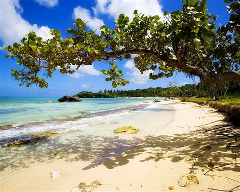 Achtergrond Strand Natuur Caraïben 🔥 Gratis Top Achtergronden