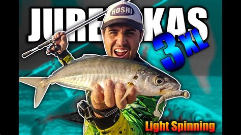 Como Pescar Jureles 3xl A Light Spinning Youtube