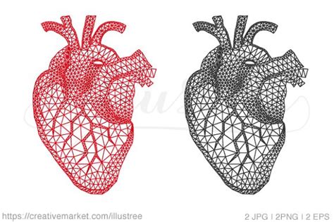 Geometric Human Heart ~ Illustrations On Creative Market
