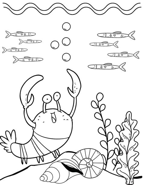 Under The Sea Coloring Pages Sea Life Coloring Ocean Etsy