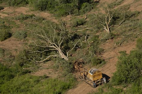 Fundación Greenpeace Argentina Greenpeace “no Hay Diálogo Posible