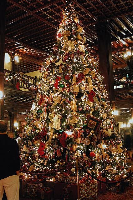 Hotel Del Coronado Christmas Tree Traditional Christmas Tree